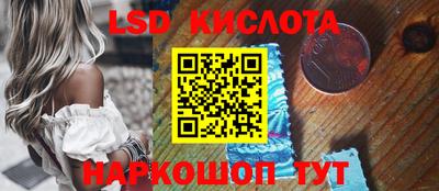 прущие грибы Нальчик