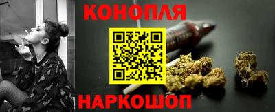 прущие грибы Нальчик