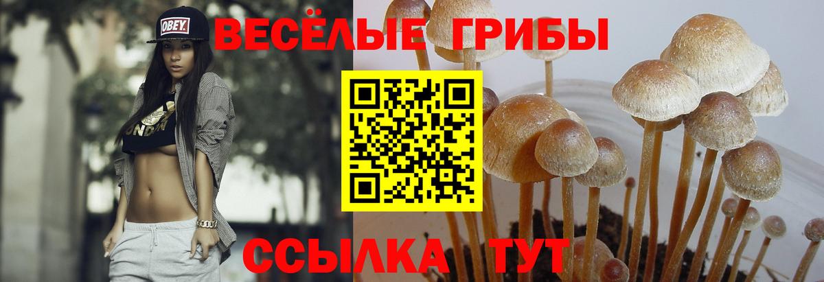 Галлюциногенные грибы Magic Shrooms  где купить наркоту  Азов  Вход с VPN 